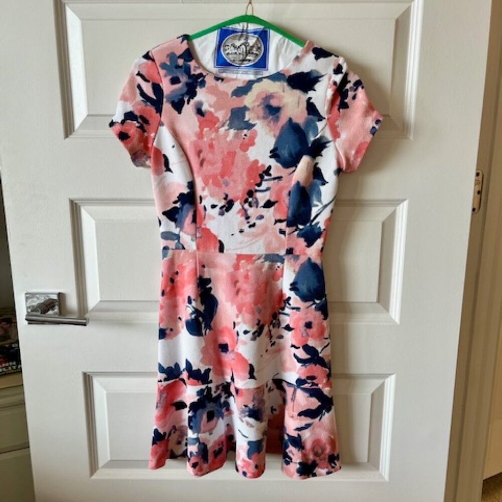 Pink and Blue Abstract Floral Dress by Aqua